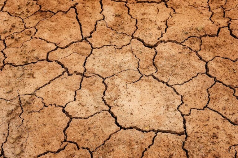 Secchezza naso secco rimedi naturali