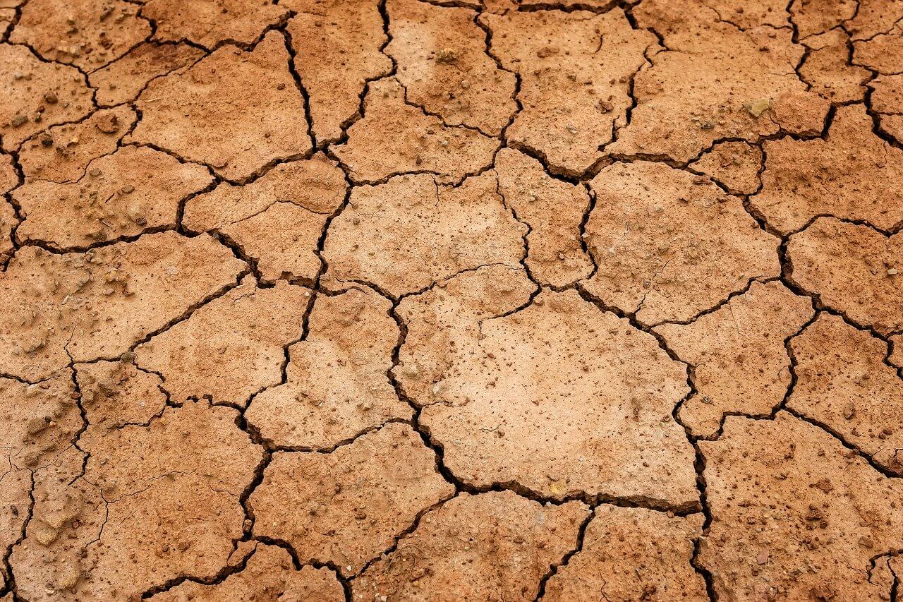 Secchezza naso secco rimedi naturali